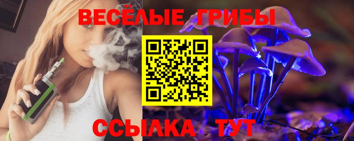 Галлюциногенные грибы Psilocybine cubensis Краснокаменск